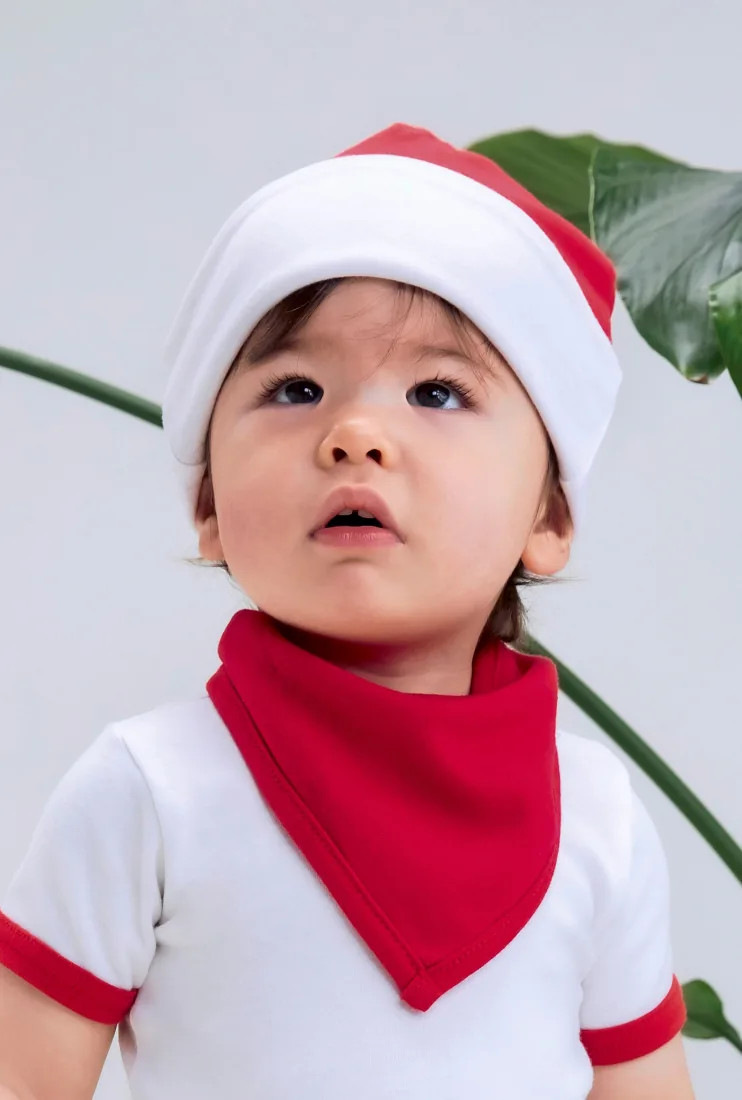 Bandana Bib 3