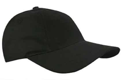Brushed Promo Cap