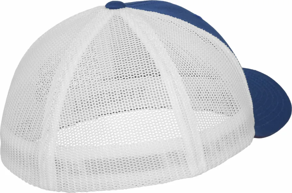 Mesh Trucker 2-Tone Cap 3
