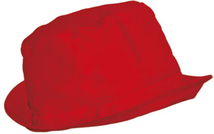 Sonnenhut