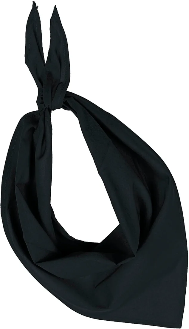 Fiesta - Bandana
