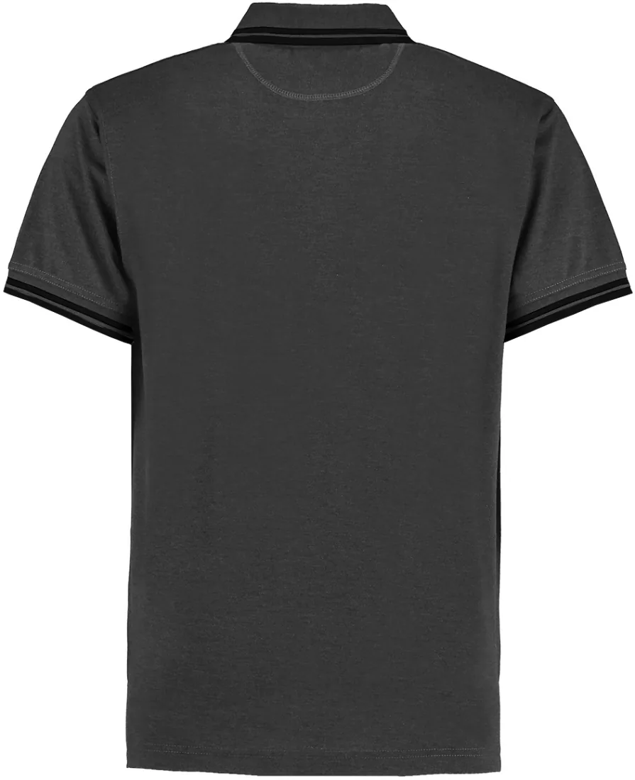 Tipped Collar Polo 3