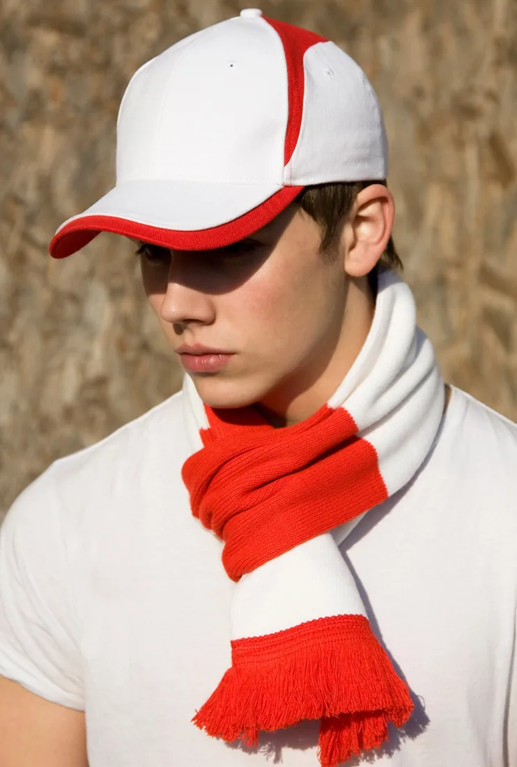 Team Scarf 2